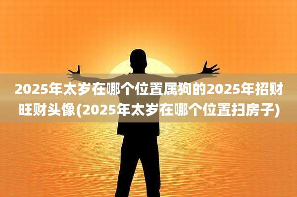 2025年太岁在哪个位置属狗的2025年招财旺财头像(2025年太岁在哪个位置扫房子)