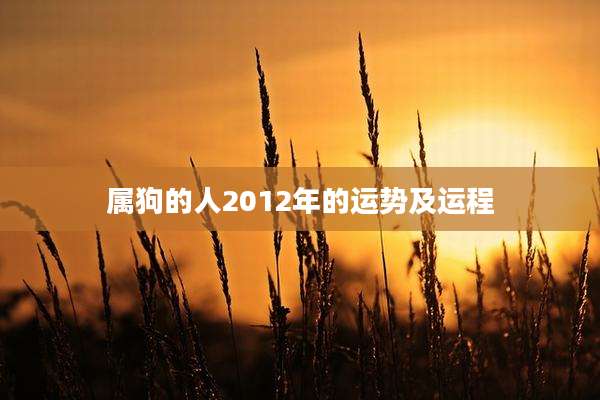 属狗的人2012年的运势及运程