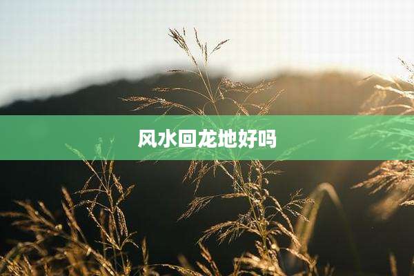 风水回龙地好吗