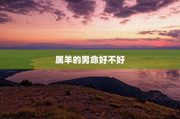 属羊的男命好不好