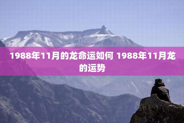 1988年11月的龙命运如何 1988年11月龙的运势