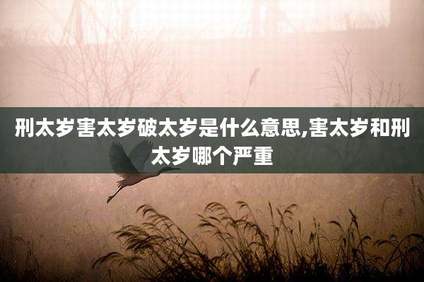 刑太岁害太岁破太岁是什么意思,害太岁和刑太岁哪个严重