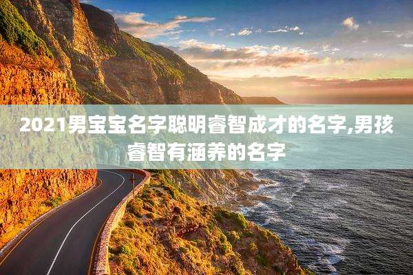 2021男宝宝名字聪明睿智成才的名字,男孩睿智有涵养的名字