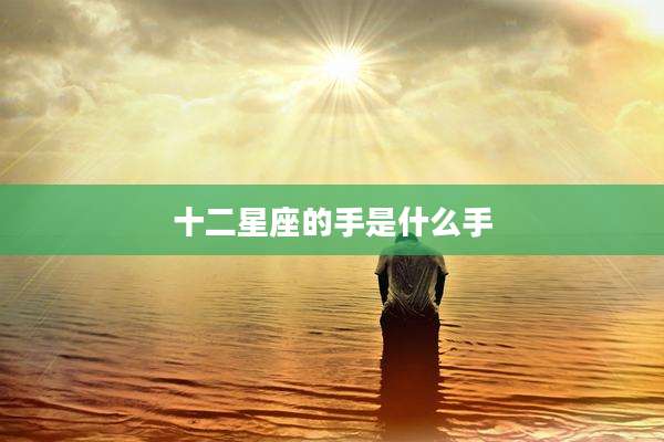 十二星座的手是什么手