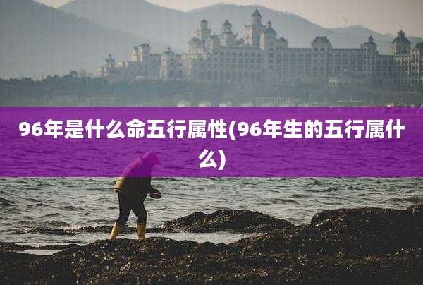 96年是什么命五行属性(96年生的五行属什么)