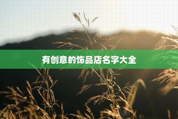 有创意的饰品店名字大全