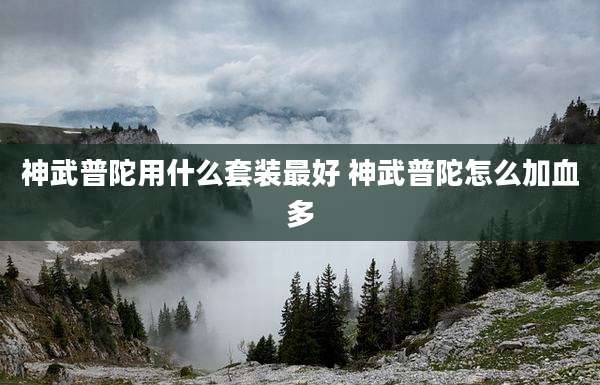 神武普陀用什么套装最好 神武普陀怎么加血多
