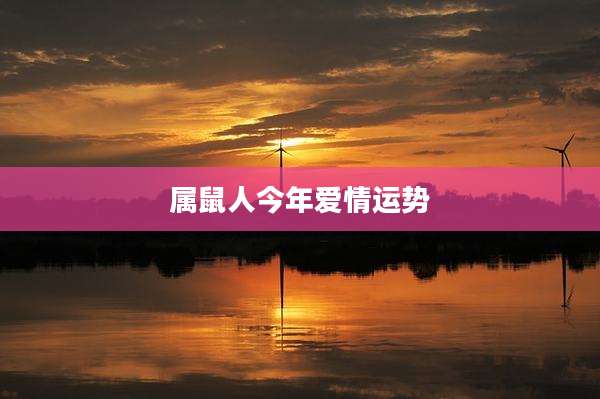 属鼠人今年爱情运势