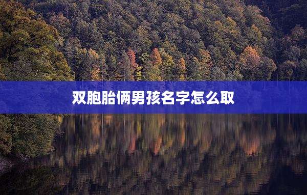 双胞胎俩男孩名字怎么取