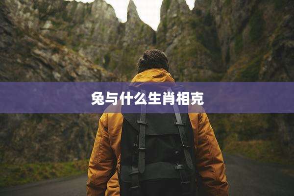 兔与什么生肖相克