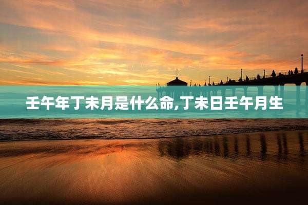 壬午年丁未月是什么命,丁未日壬午月生