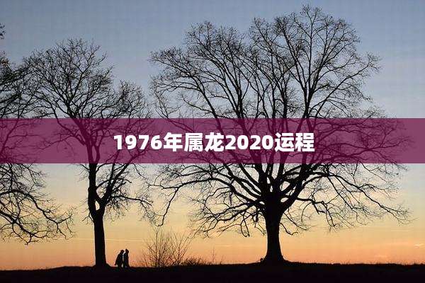 1976年属龙2020运程