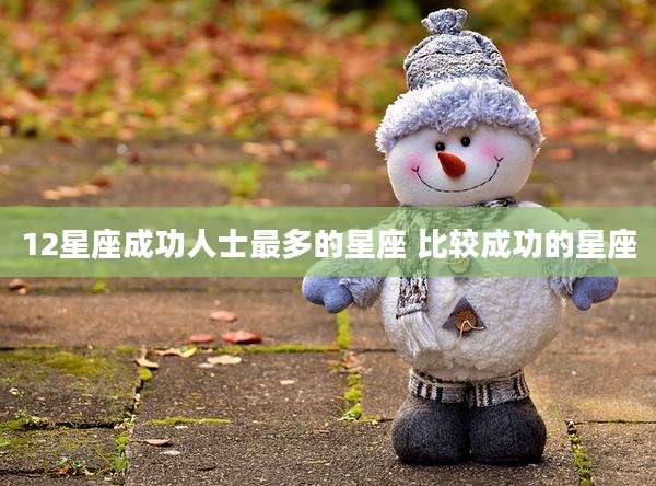 12星座成功人士最多的星座 比较成功的星座