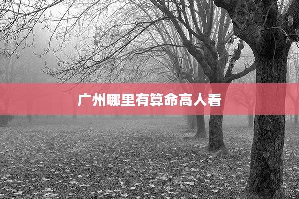 广州哪里有算命高人看