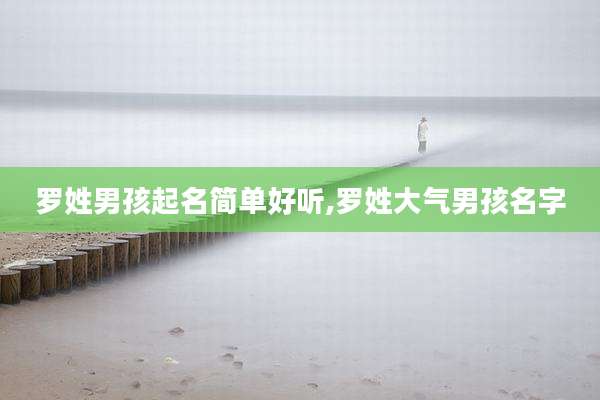 罗姓男孩起名简单好听,罗姓大气男孩名字
