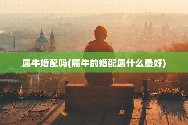 属牛婚配吗(属牛的婚配属什么最好)