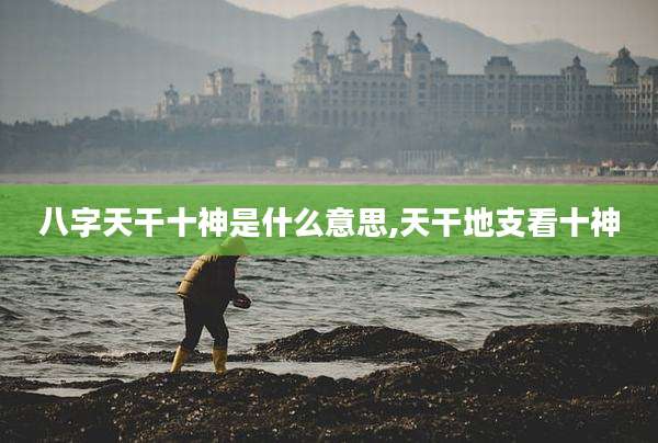 八字天干十神是什么意思,天干地支看十神