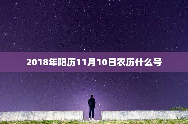 2018年阳历11月10日农历什么号