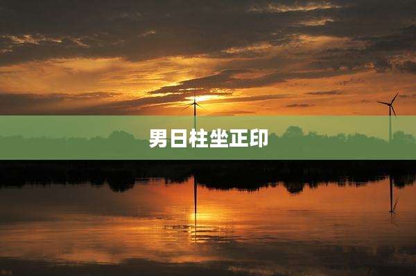 男日柱坐正印