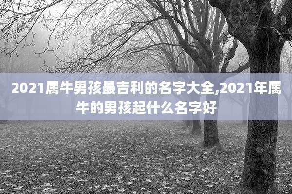 2021属牛男孩最吉利的名字大全,2021年属牛的男孩起什么名字好
