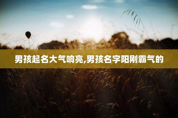 男孩起名大气响亮,男孩名字阳刚霸气的