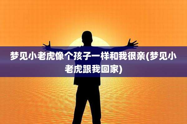 梦见小老虎像个孩子一样和我很亲(梦见小老虎跟我回家)
