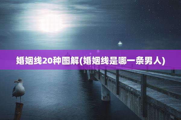 婚姻线20种图解(婚姻线是哪一条男人)