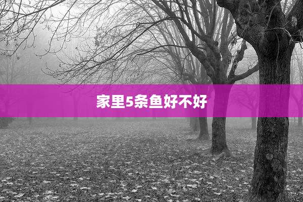 家里5条鱼好不好