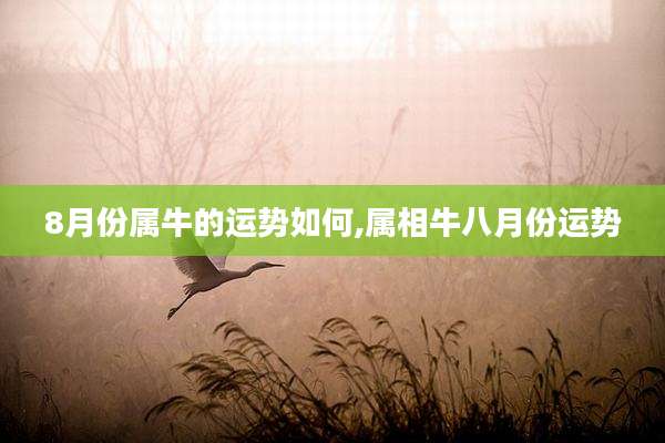 8月份属牛的运势如何,属相牛八月份运势