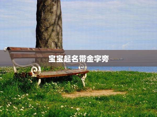 宝宝起名带金字旁