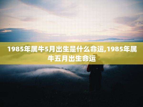 1985年属牛5月出生是什么命运,1985年属牛五月出生命运