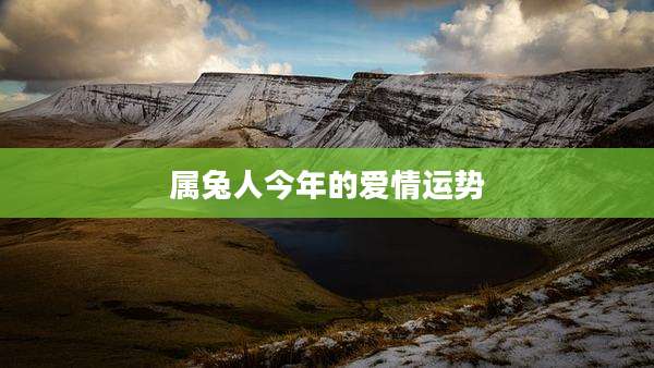 属兔人今年的爱情运势