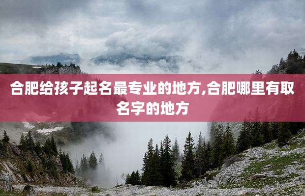合肥给孩子起名最专业的地方,合肥哪里有取名字的地方