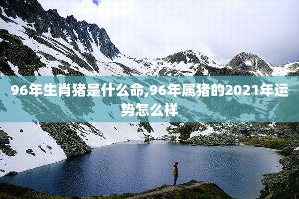 96年生肖猪是什么命,96年属猪的2021年运势怎么样