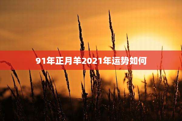 91年正月羊2021年运势如何