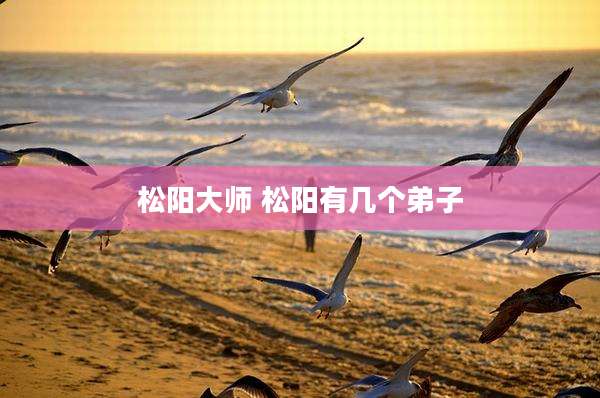 松阳大师 松阳有几个弟子