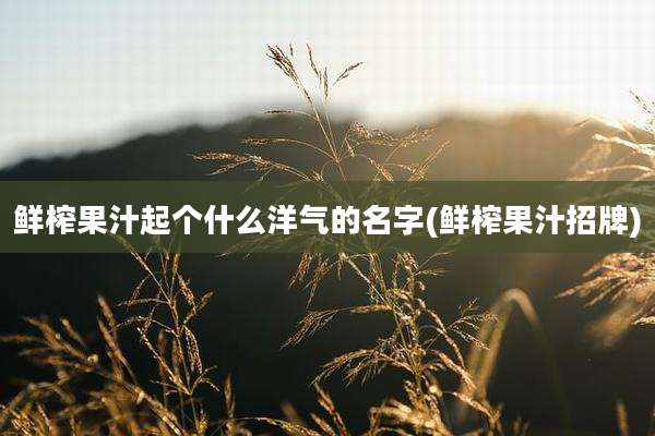 鲜榨果汁起个什么洋气的名字(鲜榨果汁招牌)