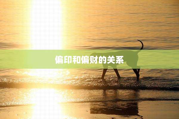 偏印和偏财的关系
