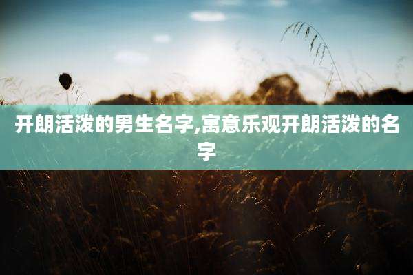 开朗活泼的男生名字,寓意乐观开朗活泼的名字