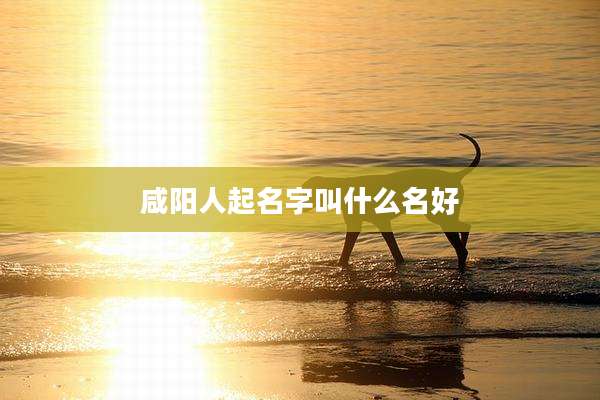 咸阳人起名字叫什么名好