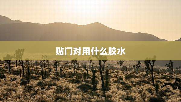 贴门对用什么胶水