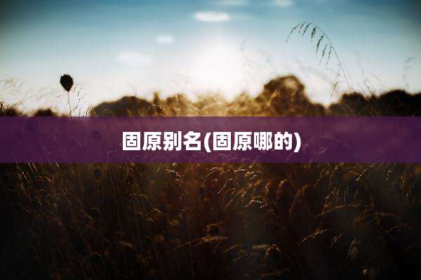 固原别名(固原哪的)