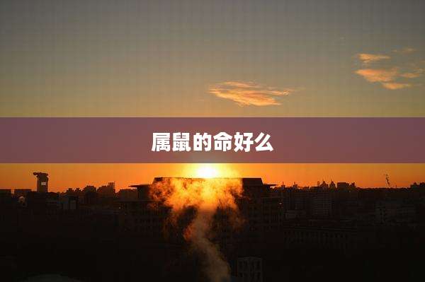 属鼠的命好么
