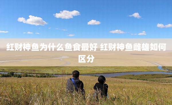 红财神鱼为什么鱼食最好 红财神鱼雌雄如何区分