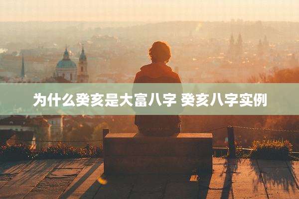 为什么癸亥是大富八字 癸亥八字实例