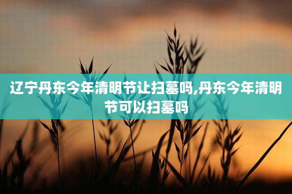 辽宁丹东今年清明节让扫墓吗,丹东今年清明节可以扫墓吗