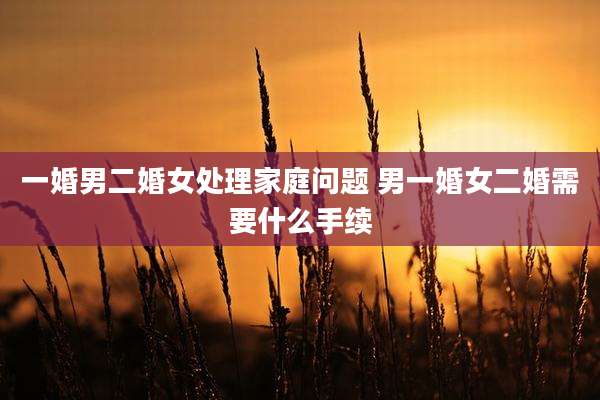 一婚男二婚女处理家庭问题 男一婚女二婚需要什么手续