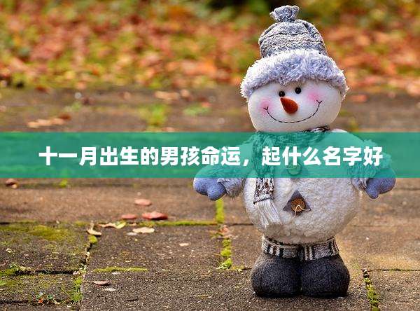 十一月出生的男孩命运，起什么名字好