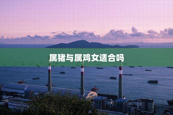 属猪与属鸡女适合吗