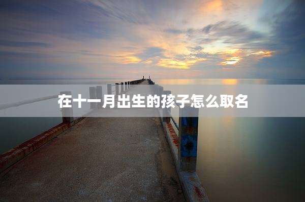 在十一月出生的孩子怎么取名